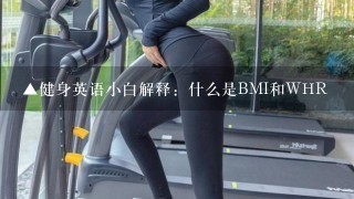 ▲健身英语小白解释：什么是BMI和WHR