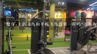 健身:上斜飞鸟和平板飞鸟效果一样吗?还有为什么我做哑铃推举。推了过后肩膀后面那块肉好痛!转头都痛...