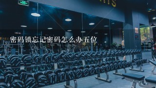 密码锁忘记密码怎么办五位