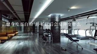 健身吃蛋白粉`停了以后会反弹变胖么