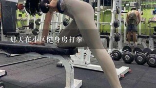 那天在小区健身房打拳