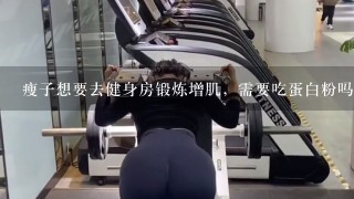 瘦子想要去健身房锻炼增肌，需要吃蛋白粉吗？