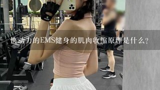 快动力的EMS健身的肌肉收缩原理是什么？