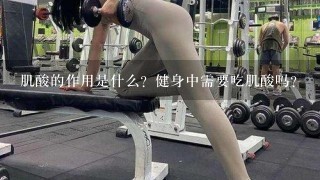 肌酸的作用是什么？健身中需要吃肌酸吗？