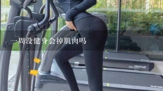 1周没健身会掉肌肉吗