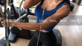 体脂称的fat，tbw，mus，bon，kcal，bmi是什么意思