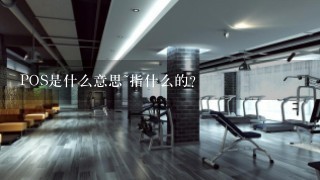 POS是什么意思~指什么的？