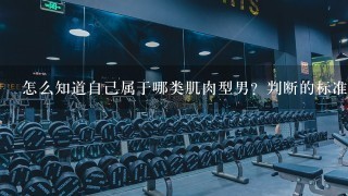 怎么知道自己属于哪类肌肉型男？判断的标准是什么？